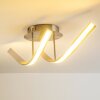 Aranu Ceiling Light LED stainless steel, matt nickel, 2-light sources