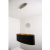 Eglo Maserlo hanging light matt nickel, 2-light sources