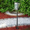 CAUDRY outdoor floor lamp black, 1-light source
