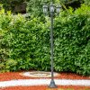 NATAL FROST Lamp Post green, black, 3-light sources