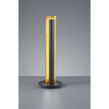 Trio-Leuchten Texel Table Lamp LED black, 1-light source