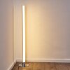 Flaut Floor Lamp LED chrome, 1-light source, Remote control, Colour changer