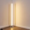 Flaut Floor Lamp LED chrome, 1-light source, Remote control, Colour changer