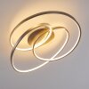 Chute Ceiling Light LED matt nickel, 1-light source