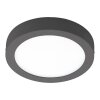 EGLO CONNECT ARGOLIS-C Ceiling Light LED anthracite, 1-light source