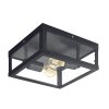 Eglo ALAMONTE 1 Ceiling Light black, 2-light sources