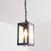 CAUDRY hanging lamp black, 1-light source