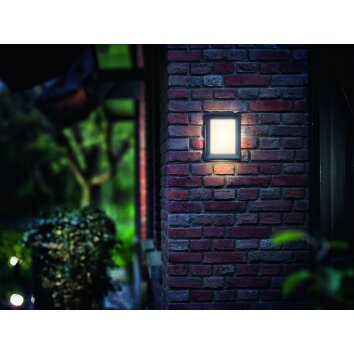 Philips KARP Outdoor Wall Light LED anthracite, 1-light source
