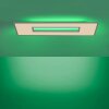 Leuchten-Direkt RECESS Ceiling Light LED white, 2-light sources, Remote control, Colour changer