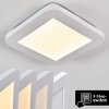 Siguna Ceiling Light LED white, 1-light source