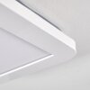 Siguna Ceiling Light LED white, 1-light source