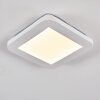 Siguna Ceiling Light LED white, 1-light source