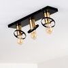 Alvesta Ceiling Light gold, brass, black, 3-light sources
