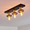 Alvesta Ceiling Light gold, brass, black, 3-light sources