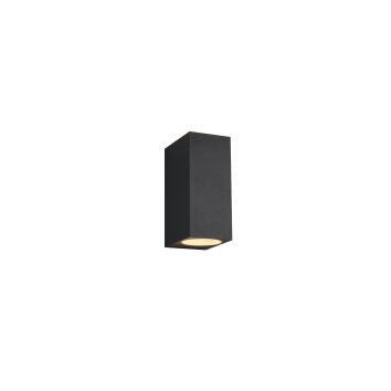 Trio ROYA Wall Light anthracite, 2-light sources