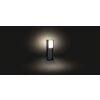 Philips HUE WHITE TURACO pedestal light anthracite, 1-light source