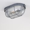 Catawba Ceiling Light grey, 1-light source