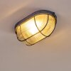 Catawba Ceiling Light grey, 1-light source