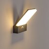 Heraklion Outdoor Wall Light LED anthracite, 1-light source