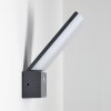 Heraklion Outdoor Wall Light LED anthracite, 1-light source