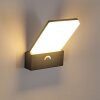 Heraklion Outdoor Wall Light LED anthracite, 1-light source