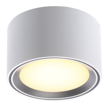 Nordlux FALLON Ceiling light stainless steel, 1-light source