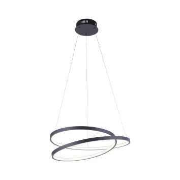 Paul Neuhaus ROMAN Pendant Light LED black, 1-light source