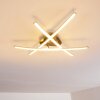 DENEB Ceiling light LED matt nickel, 3-light sources