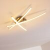 DENEB Ceiling light LED matt nickel, 3-light sources