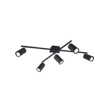 Trio Leuchten MARLEY Ceiling Light black, 5-light sources