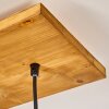 SHIBURG Pendant Light Light wood, 4-light sources