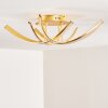 Aranu Ceiling Light LED gold, 4-light sources