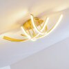 Aranu Ceiling Light LED gold, 4-light sources