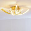 Aranu Ceiling Light LED gold, 4-light sources