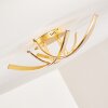 Aranu Ceiling Light LED gold, 4-light sources