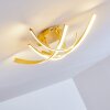 Aranu Ceiling Light LED gold, 4-light sources