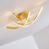 Aranu Ceiling Light LED gold, 4-light sources