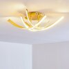 Aranu Ceiling Light LED gold, 4-light sources
