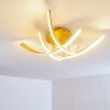 Aranu Ceiling Light LED gold, 4-light sources