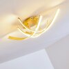 Aranu Ceiling Light LED gold, 4-light sources