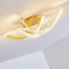 Aranu Ceiling Light LED gold, 4-light sources