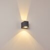 MAPUTO Outdoor Wall Light LED anthracite, 2-light sources