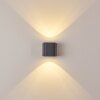 MAPUTO Outdoor Wall Light LED anthracite, 2-light sources