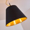 Saillon Pendant Light black, 1-light source