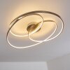 Chute Ceiling Light LED matt nickel, 1-light source