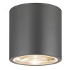 LCD TYP 065 Ceiling light grey, 1-light source