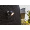 Lutec EXPLORER Outdoor Wall Light LED anthracite, 1-light source