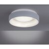 Leuchten-Direkt DANTE Ceiling Light LED grey, 1-light source, Remote control