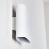 VION Wall Light white, 2-light sources