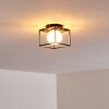 LEGANO Ceiling Light black, 1-light source